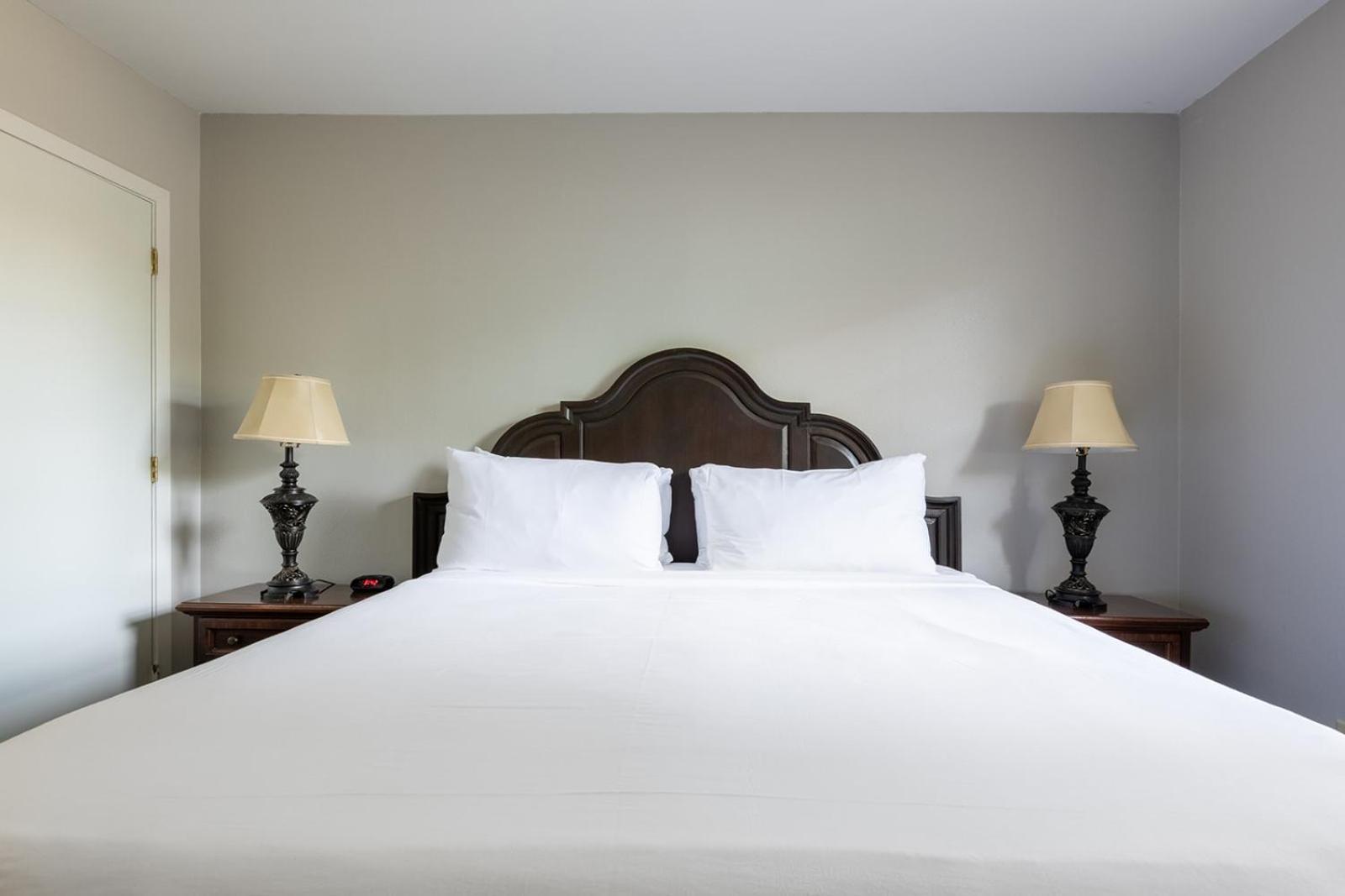 French Quarter Suites Hotel New Orleans Esterno foto