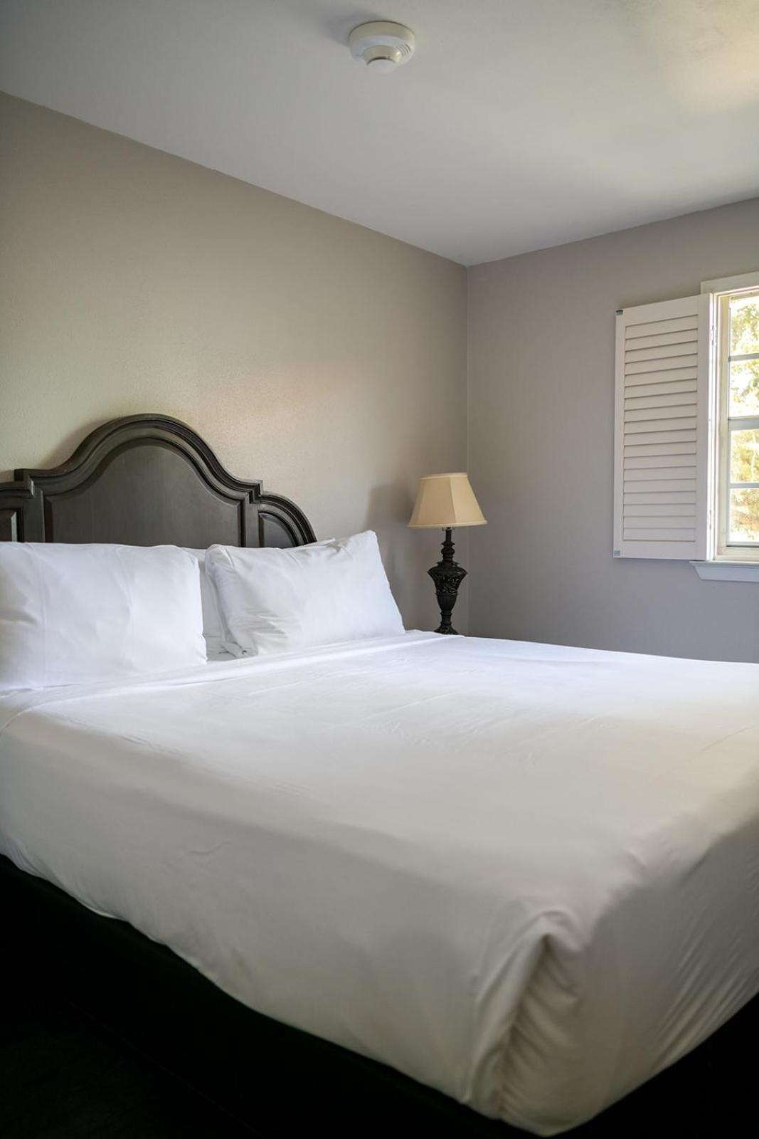 French Quarter Suites Hotel New Orleans Esterno foto